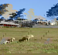 Calmsley Hill City Farm - Maitland Accommodation