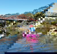 Canoeing at Clarence Town - Maitland Accommodation