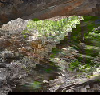 Cave Creek Walking Track - Maitland Accommodation