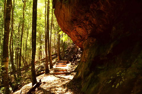 Cave Creek Walking Track - Maitland Accommodation 1