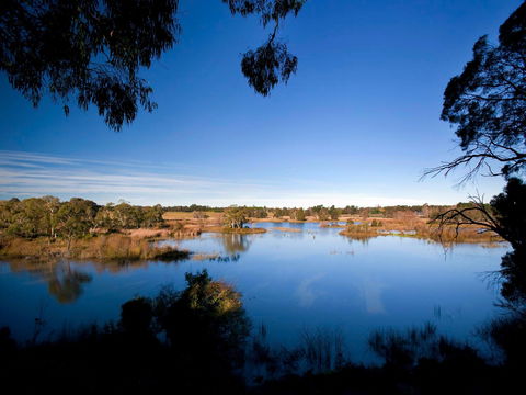 Cecil Hoskins Nature Reserve - Maitland Accommodation 0