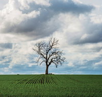 Clare Valley - Maitland Accommodation