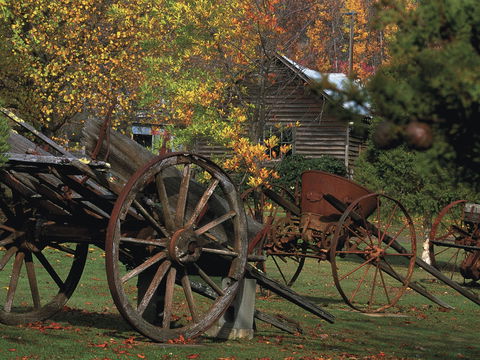 Derwent Valley And Central Highlands - Maitland Accommodation 2
