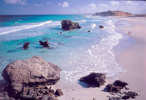 Dhimurru Recreational Area - Maitland Accommodation 0