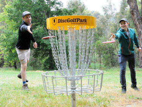 Disc Golf - Maitland Accommodation 0