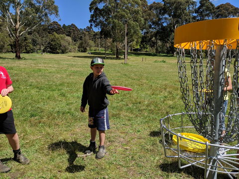 Disc Golf - Maitland Accommodation 1