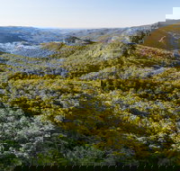 Gold Coast Hinterland Great Walk - Maitland Accommodation