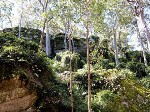 Haunted Point Loop Walk - Maitland Accommodation 0