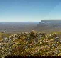 Jerrawangala National Park - Maitland Accommodation