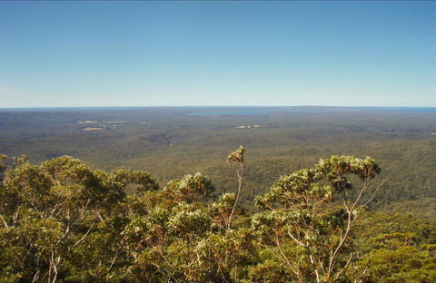 Jerrawangala National Park - Maitland Accommodation 0