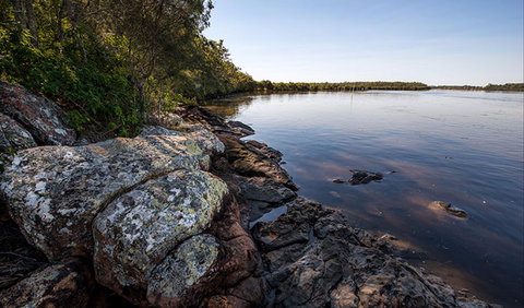 Karuah River National Park And Nature Reserve - Maitland Accommodation 2