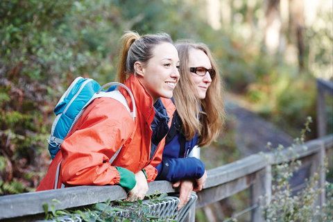 Kinglake National Park - Maitland Accommodation 2