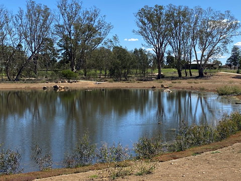 Lake King Wetlands At Rutherglen - Maitland Accommodation 0
