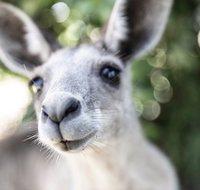 Lochern National Park - Maitland Accommodation