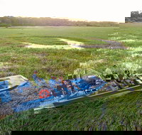 Mary River National Park - Maitland Accommodation