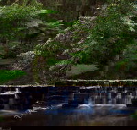 Millards Creek Walk and Cycleway - Maitland Accommodation