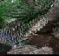 Misty Mountains Wilderness Tracks - Maitland Accommodation