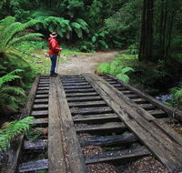 Montezuma Falls - Maitland Accommodation