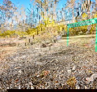 Mt Glenrowan Lookout Walk - Maitland Accommodation