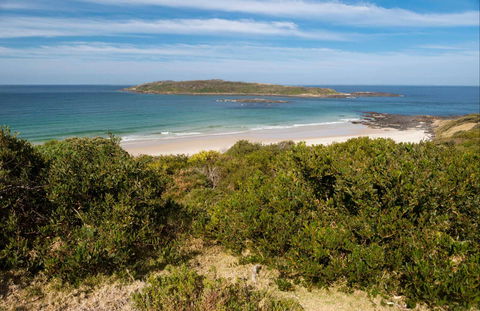 Murramarang Aboriginal Area - Maitland Accommodation 0