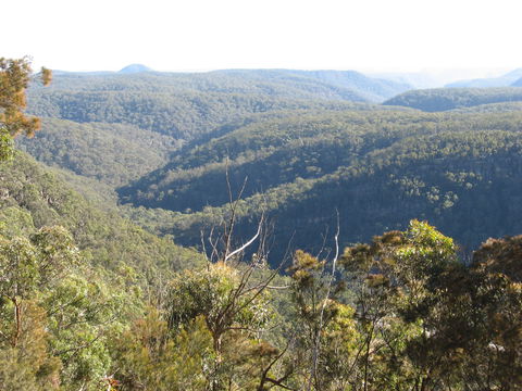 Nattai Gorge Lookout - Maitland Accommodation 1