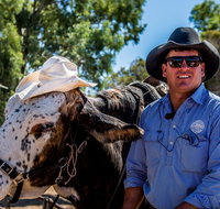 Outback Stockman's Show - Maitland Accommodation
