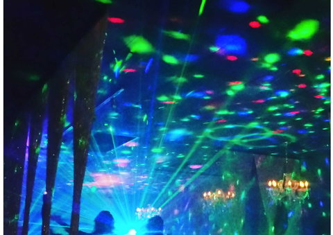 Polit Bar - More Than Cocktails - Maitland Accommodation 1