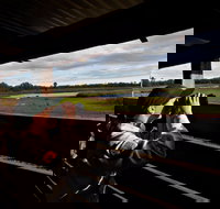 Reed Beds Bird Hide Boardwalk - Maitland Accommodation