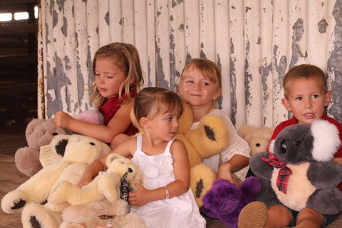 Tambo Teddies - Maitland Accommodation 0