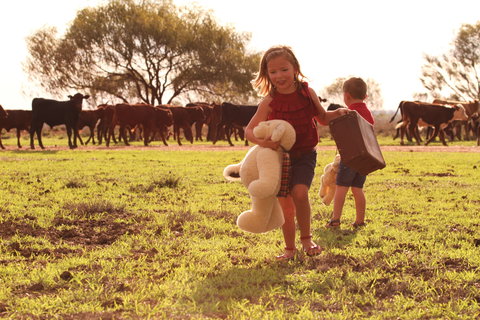 Tambo Teddies - Maitland Accommodation 1