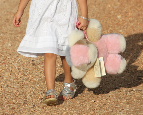 Tambo Teddies - Maitland Accommodation 2