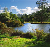 Tasmanian Arboretum Inc. - The - Maitland Accommodation