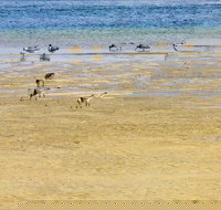 Towra Beach - Maitland Accommodation