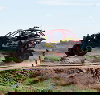 Turbo Buggy Ride - Maitland Accommodation