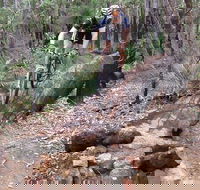 Turner Hill Mountain Bike Trail Murray - Maitland Accommodation