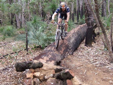 Turner Hill Mountain Bike Trail, Murray - Maitland Accommodation 0