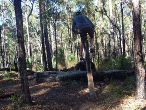 Turner Hill Mountain Bike Trail, Murray - Maitland Accommodation 1