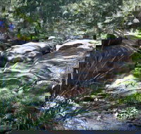 Washpools waterhole - Maitland Accommodation