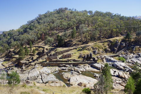 Adelong - Maitland Accommodation 1