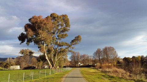 Adelong - Maitland Accommodation 2