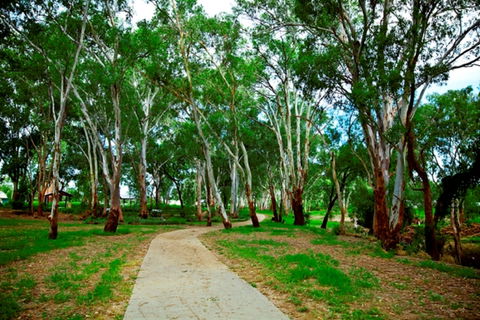Adungadoo Pathway - Maitland Accommodation 0