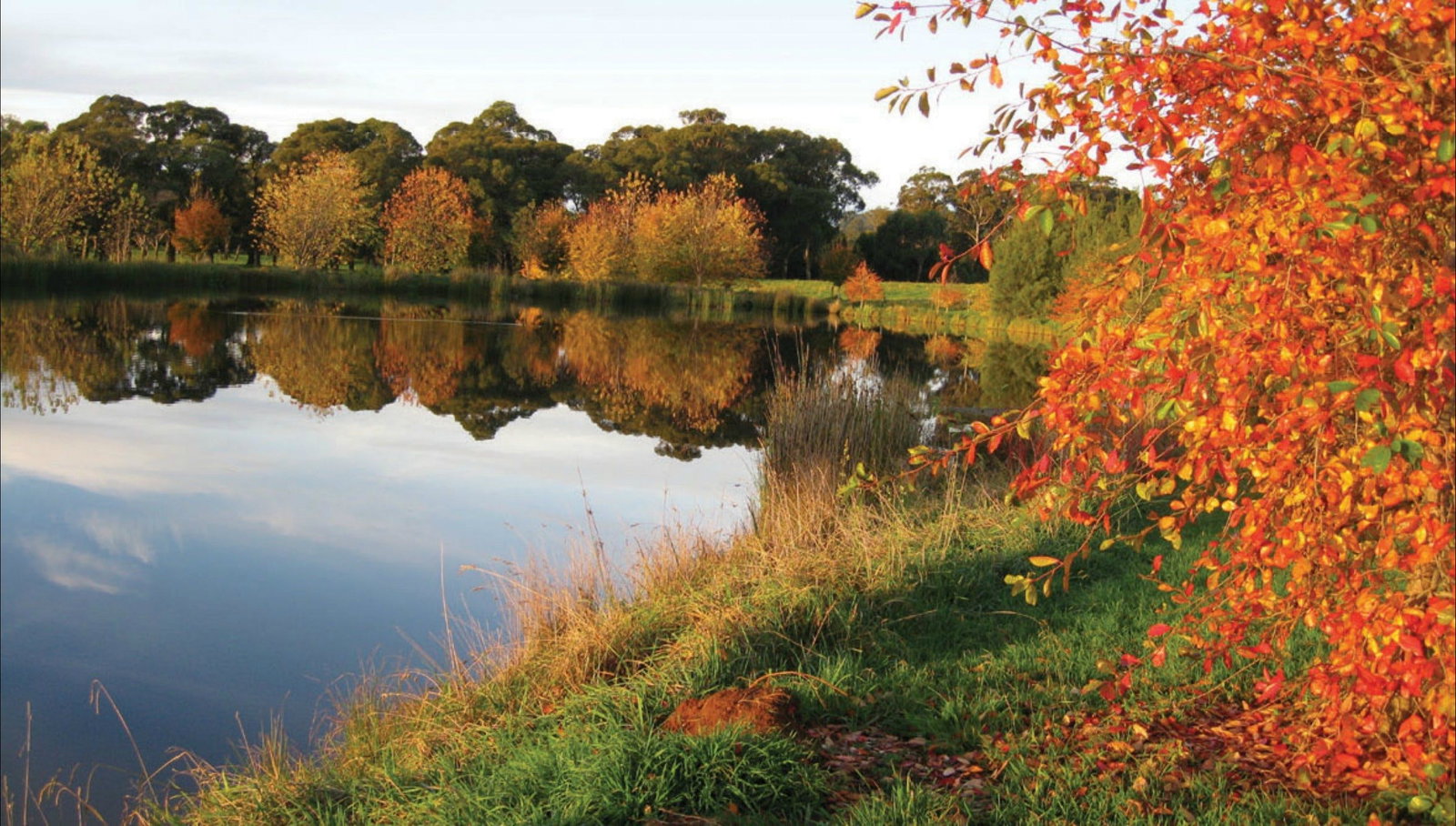 Alpine NSW Maitland Accommodation