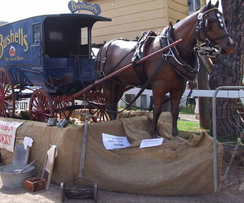 Arms Of Australia Inn Museum - Maitland Accommodation 2