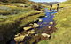 Australian Alps Walking Track - thumb 0