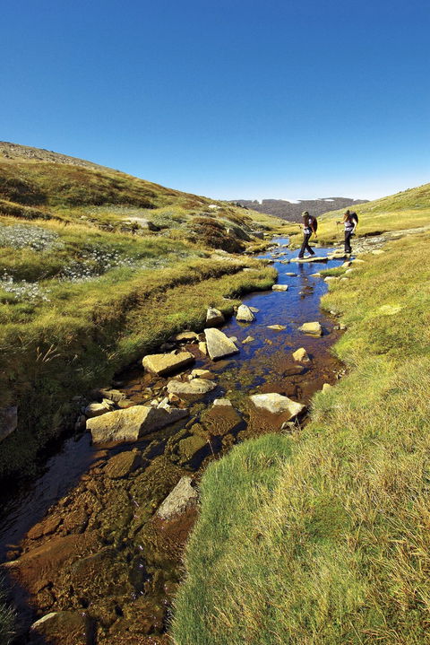 Australian Alps Walking Track - Maitland Accommodation 0