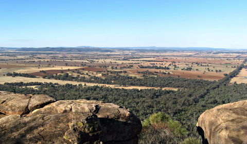Basin Gully To Eualdrie Lookout Track - Maitland Accommodation 0