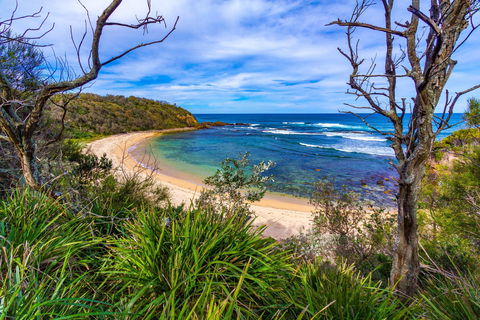 Bendalong (Inyadda) Beach - Maitland Accommodation 0