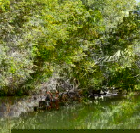 Berry Springs Nature Park - Maitland Accommodation