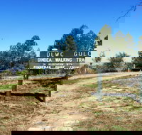 Bindea Walking Track - Maitland Accommodation