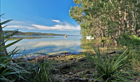 Black Oaks Picnic Area - Maitland Accommodation 0
